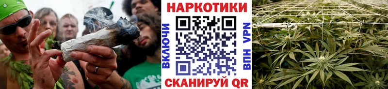  COCAIN Кропоткин
