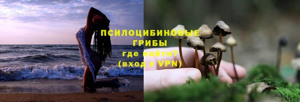 спиды Заводоуковск