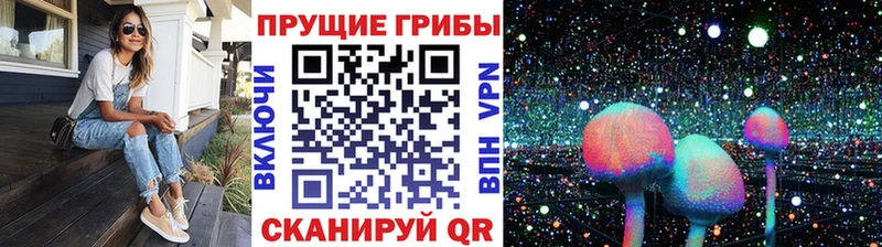 где купить наркотик  Кропоткин  Галлюциногенные грибы GOLDEN TEACHER 