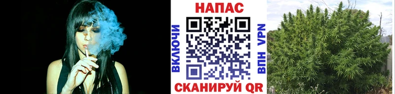 Бошки Шишки планчик  продажа наркотиков  Кропоткин 